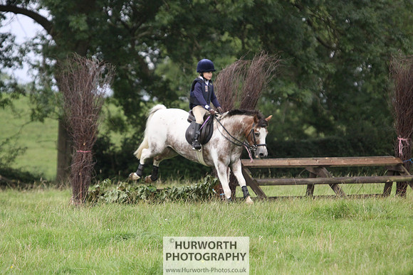 Hurworth HedgeHop 048