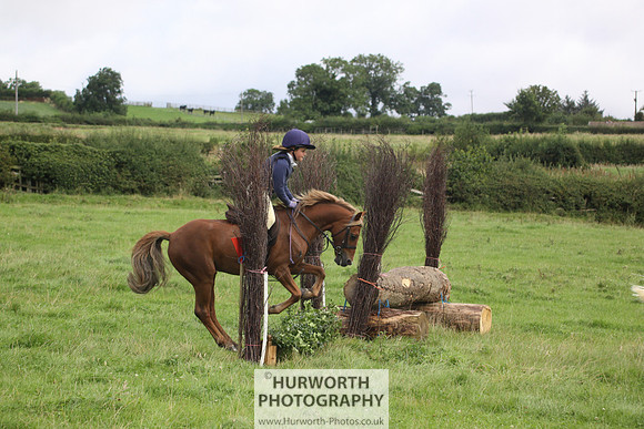 Hurworth HedgeHop 049