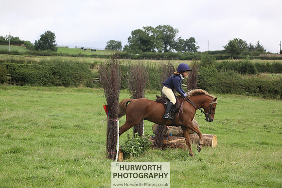 Hurworth HedgeHop 050