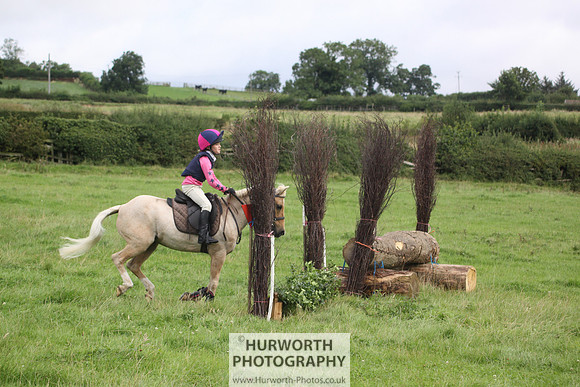 Hurworth HedgeHop 051