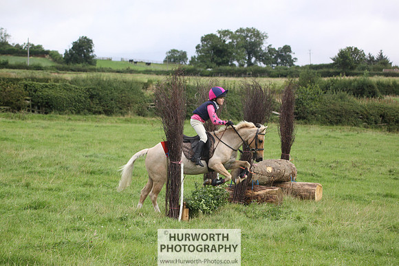 Hurworth HedgeHop 052