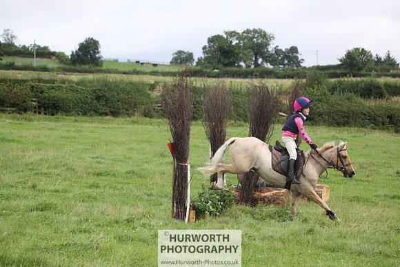 Hurworth HedgeHop 053