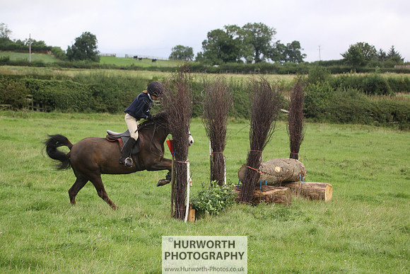 Hurworth HedgeHop 054