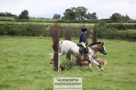 Hurworth HedgeHop 056