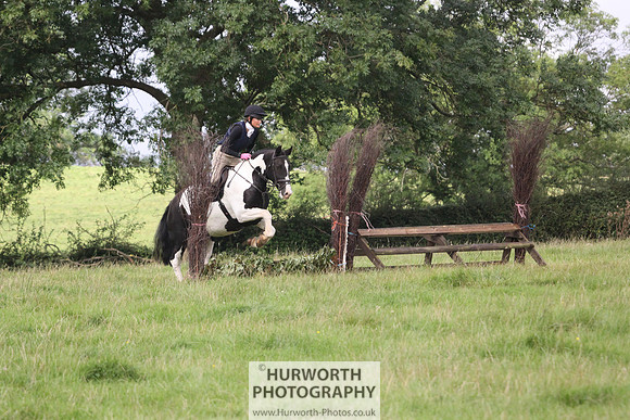 Hurworth HedgeHop 061