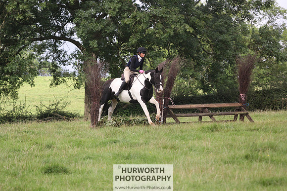 Hurworth HedgeHop 062