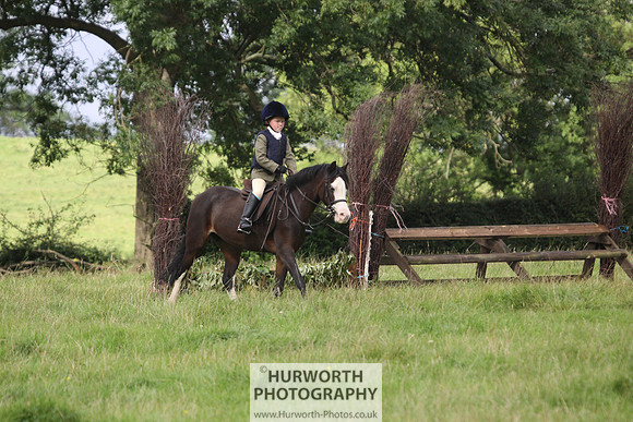 Hurworth HedgeHop 063