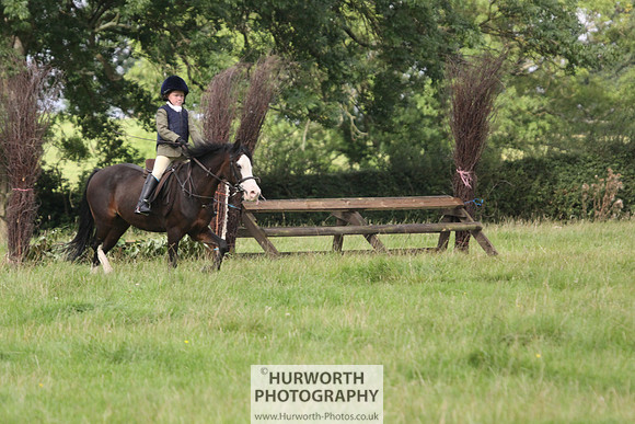 Hurworth HedgeHop 064