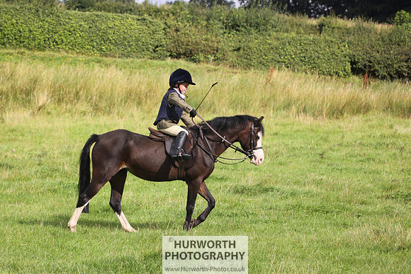 Hurworth HedgeHop 067