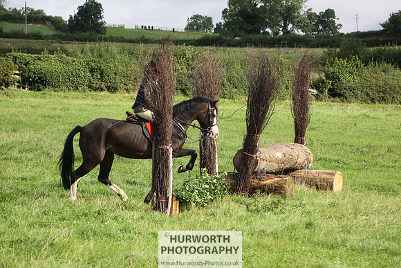 Hurworth HedgeHop 069