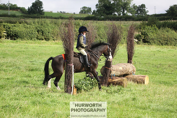 Hurworth HedgeHop 070