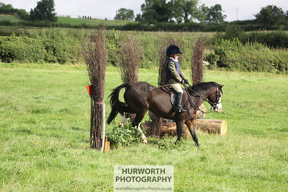 Hurworth HedgeHop 071