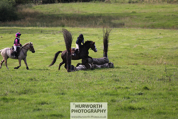 Hurworth HedgeHop 076