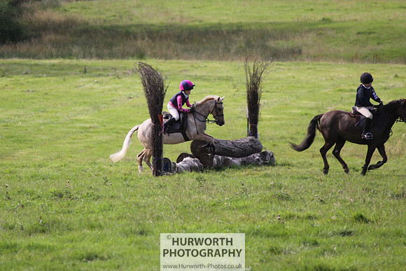 Hurworth HedgeHop 077