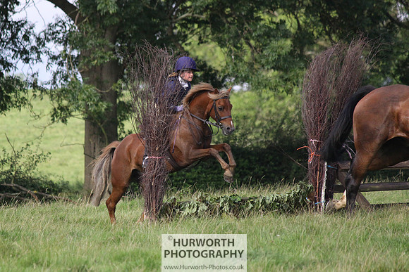 Hurworth HedgeHop 081