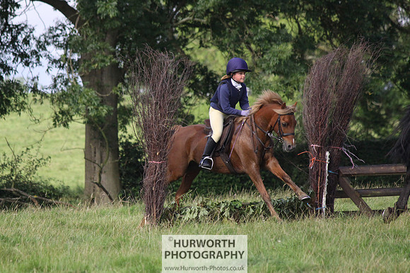 Hurworth HedgeHop 082