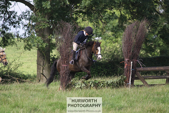 Hurworth HedgeHop 083