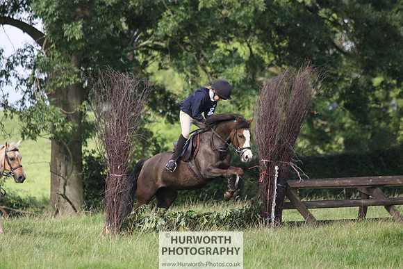 Hurworth HedgeHop 084