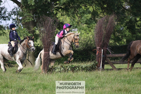 Hurworth HedgeHop 085