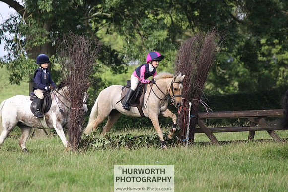 Hurworth HedgeHop 086