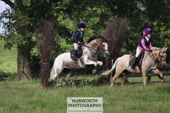Hurworth HedgeHop 087