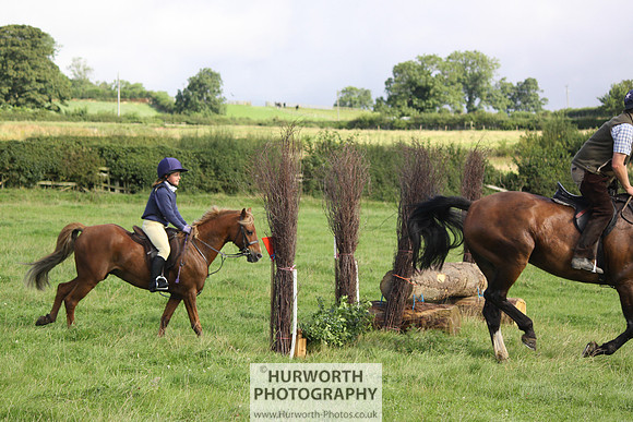 Hurworth HedgeHop 091