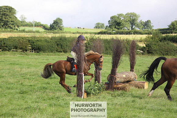 Hurworth HedgeHop 092