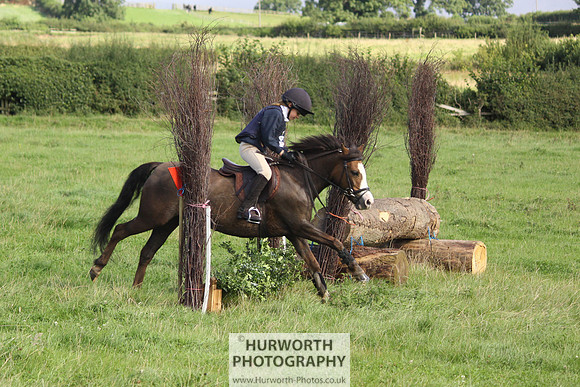 Hurworth HedgeHop 094