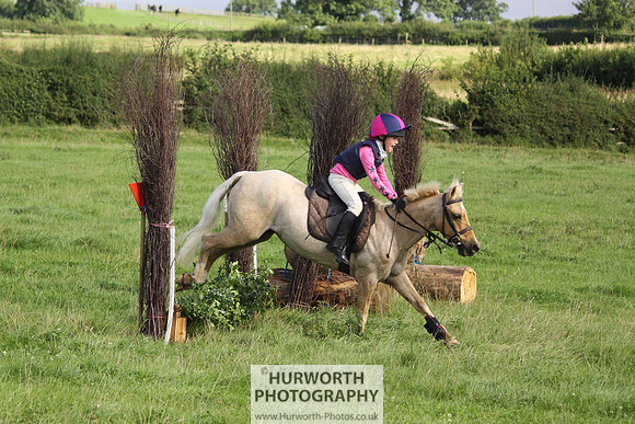 Hurworth HedgeHop 096