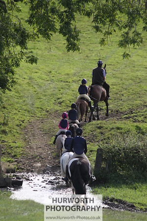 Hurworth HedgeHop 099