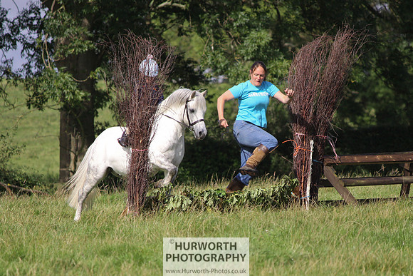 Hurworth HedgeHop 101