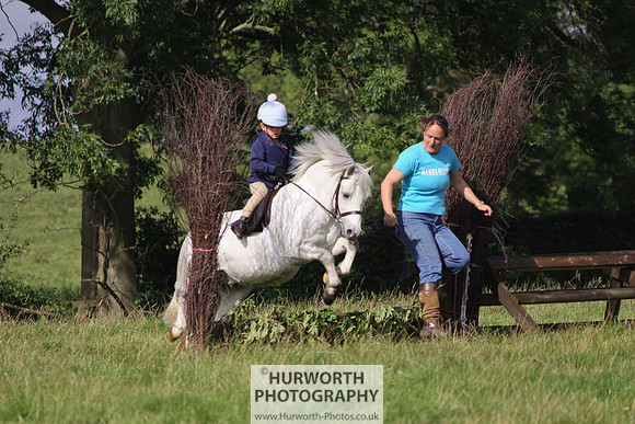 Hurworth HedgeHop 102