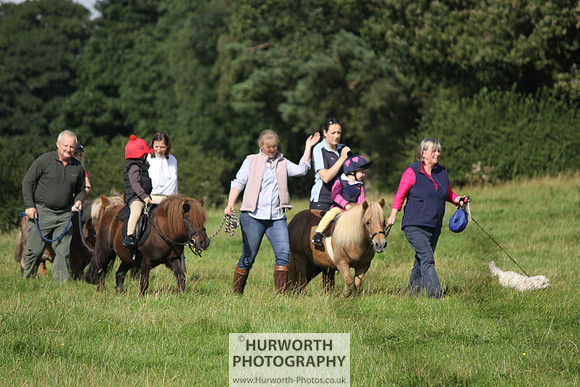 Hurworth HedgeHop 108