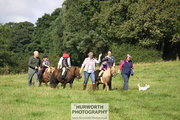 Hurworth HedgeHop 109