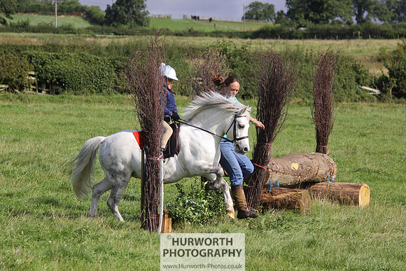 Hurworth HedgeHop 110