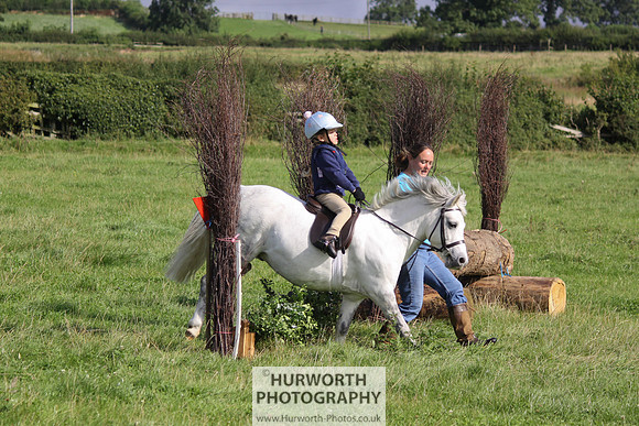 Hurworth HedgeHop 111
