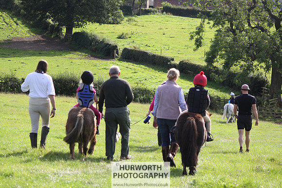 Hurworth HedgeHop 113