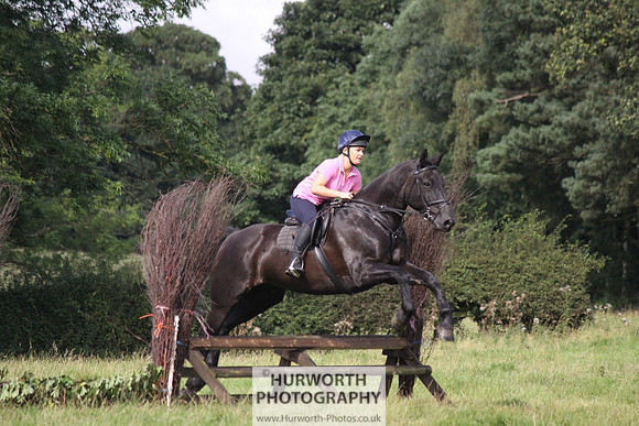 Hurworth HedgeHop 125