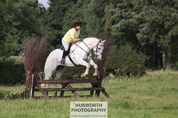 Hurworth HedgeHop 133