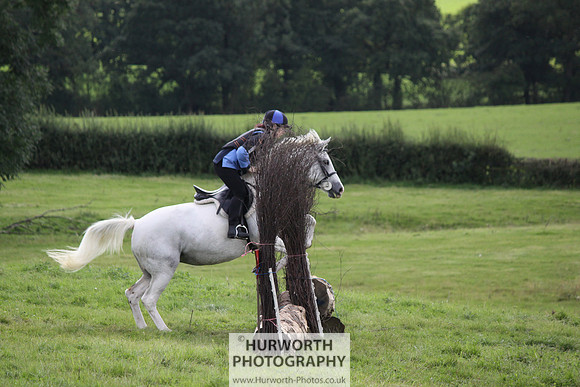 Hurworth HedgeHop 250