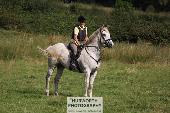 Hurworth HedgeHop 154
