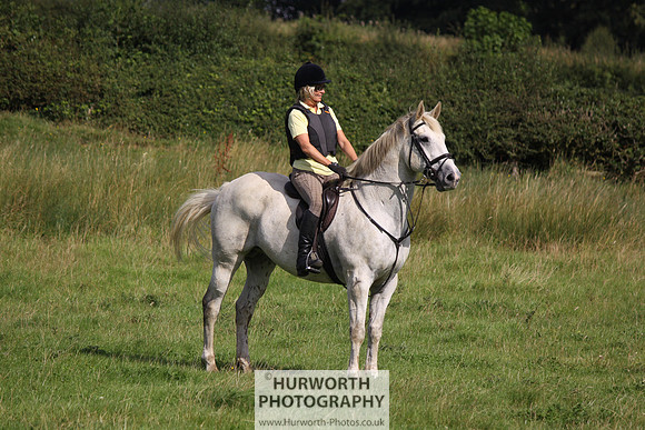Hurworth HedgeHop 155