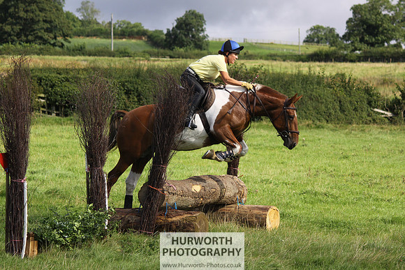 Hurworth HedgeHop 163