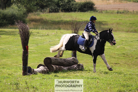 Hurworth HedgeHop 181