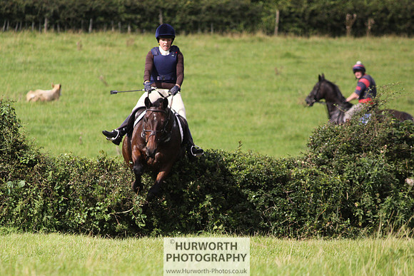 Hurworth HedgeHop 189