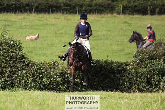 Hurworth HedgeHop 190