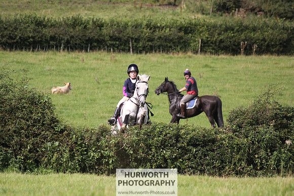 Hurworth HedgeHop 191