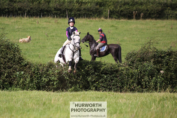 Hurworth HedgeHop 192