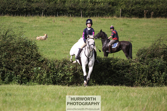 Hurworth HedgeHop 193