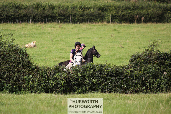 Hurworth HedgeHop 194